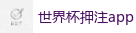 世界杯押注app_2026世界杯官方指定下注平台